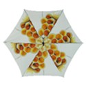 Image-2500x3000 (28) Automatic Folding Umbrella with Case (Small) View1