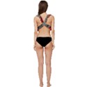 Pxl 20231123 001607591 Low Cut Ruffle Edge Bikini Top View4
