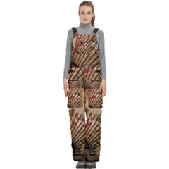 Pxl 20231129 000318816 Women s Side Zip Front Pouch Ski And Snowboard Bib Pants	