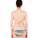 Artwork Painting Sculpture Nature Classic Bikini Set View2