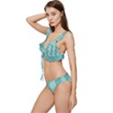 Geometric Design 14 Low Cut Ruffle Edge Bikini Set View2
