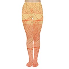 Abstract Texture Of Colorful Bright Pattern Of Transparent Leaves Of Orange And Yellow Color Tights