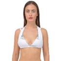 20250102 085528 Double Strap Halter Bikini Top View1