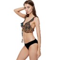 Tribal Chic Low Cut Ruffle Edge Bikini Top View2