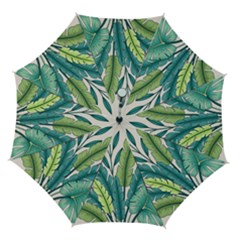Illustrations Plants Nature Leaves Automatic Folding Umbrella With Case (medium)