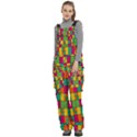 Abstract-background Women s Side Zip Front Pouch Ski And Snowboard Bib Pants	 View2