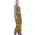 Abstract-background Women s Side Zip Front Pouch Ski And Snowboard Bib Pants	 View3