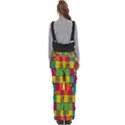 Abstract-background Women s Side Zip Front Pouch Ski And Snowboard Bib Pants	 View4