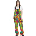 Abstract-background Women s Front Zip Ski And Snowboard Bib Pants View1