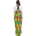 Abstract-background Women s Front Zip Ski And Snowboard Bib Pants View4
