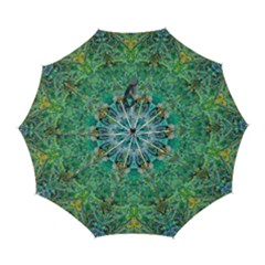 Green Repeats I Automatic Folding Umbrella With Case (large)