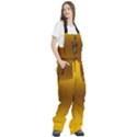 Amber Orange To Chocolate Brown Bilinear Gradient Women s Front Zip Ski And Snowboard Bib Pants View3