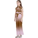 Pink Lace To Chocolate Brown Bilinear Gradient Kids  Sleeveless Ruffle Edge Band Collar Chiffon One Piece View2