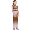 Pink Lace To Chocolate Brown Bilinear Gradient Kids  Sleeveless Ruffle Edge Band Collar Chiffon One Piece View3