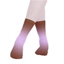Chocolate Brown To Pink Lace Bilinear Gradient Smooth Crew Length Tube Socks View3