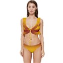 Burgundy Red To Amber Orange Bilinear Gradient Low Cut Ruffle Edge Bikini Set View1