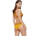 Burgundy Red To Amber Orange Bilinear Gradient Low Cut Ruffle Edge Bikini Set View3