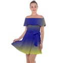 Electric Yellow To Navy Blue Bilinear Gradient Off Shoulder Velour Dress View1