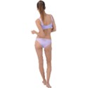 Pale Pink To Pale Violet Linear Gradient Ring Detail Crop Bikini Set View2