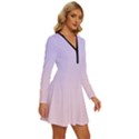 Pale Violet To Pale Pink Linear Gradient Long Sleeve Deep V Mini Dress  View3