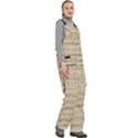 Vintage Beige Music Notes Women s Side Zip Front Pouch Ski And Snowboard Bib Pants	 View3