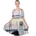 Fisherman’s Ward, San Francisco, CA Cut Out Shoulders Dress View1