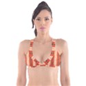 Geometrical Geometric Pattern Plunge Bikini Top View1