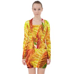 Leaves Plant Pattern Croton Nature V-neck Bodycon Long Sleeve Dress