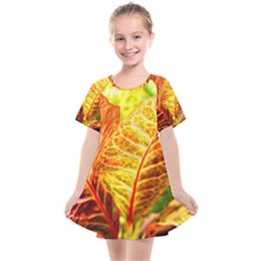Leaves Plant Pattern Croton Nature Kids  Smock Dress