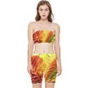 Leaves Plant Pattern Croton Nature Stretch Shorts and Tube Top Set View1