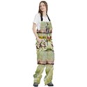 Fabrics Women s Front Zip Ski And Snowboard Bib Pants View3