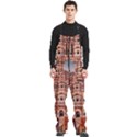 rajasthan hawa mahal Men s Front Zip Ski And Snowboard Bib Pants View1