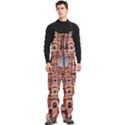 rajasthan hawa mahal Men s Front Zip Ski And Snowboard Bib Pants View3