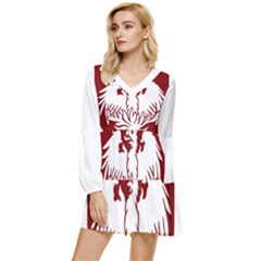 University Of Chicago Tiered Long Sleeve Mini Dress