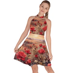 Roses Flower Field Sunset Nature Sleeveless Halter Neck A-line Dress