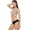 Abstract Pattern Design Scrapbooking Low Cut Ruffle Edge Bikini Top View2