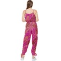  Tondo Wave I Sleeveless Tie Ankle Chiffon Jumpsuit View2