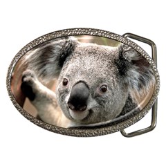 Koala Belt Buckle (oval) by vipahi