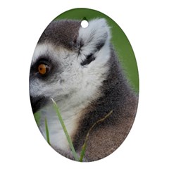 Ring Tailed Lemur  2 Oval Ornament (two Sides) by smokeart