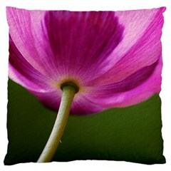 Poppy Large Cushion Case (single Sided) 