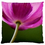 Poppy Large Cushion Case (Single Sided)  Front
