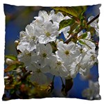 Cherry Blossom Large Cushion Case (Single Sided)  Front