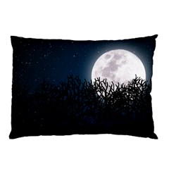 Night Time Landscape Pillow Case (two Sides)