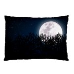Night time landscape Pillow Case (Two Sides) Back