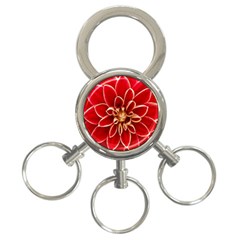 Red Dahila 3-ring Key Chain by Colorfulart23