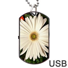 Daisyc Dog Tag Usb Flash (one Side)