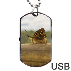Butterfly Against Blur Background At Iguazu Park Dog Tag Usb Flash (one Side)