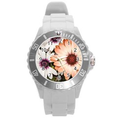 Beautiful Colourful African Daisies Round Plastic Sport Watch (l)