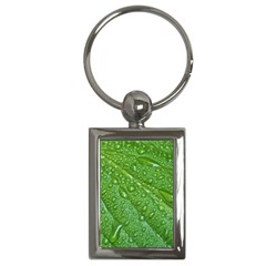 Green Leaf Drops Key Chains (rectangle)  by trendistuff