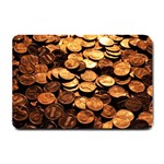 PENNIES Small Doormat  24 x16  Door Mat